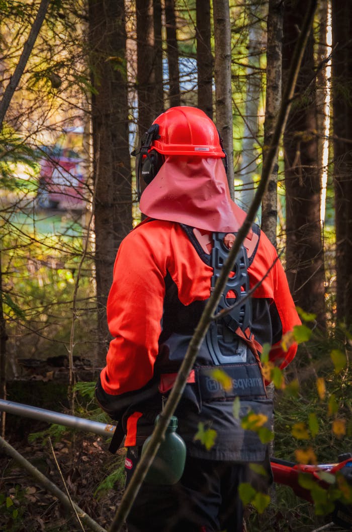 Forest worker in protective gear handling brushcutter in Finnish woodland.